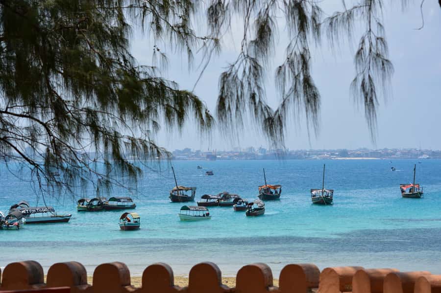 Zanzibar : 1 Day Blue Safari, Blue horizon experience - The sandbank stop: swim, snorkel, or simply sit