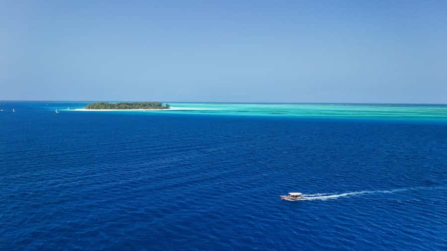 Zanzibar: 1 Day Blue Trip with 2 Stunning Scuba Dives - Two different underwater sessions, two chances to settle in