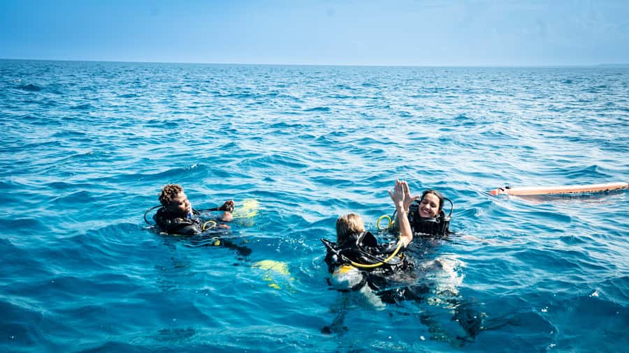 Zanzibar: 1 Day Blue Trip with 2 Stunning Scuba Dives - Practical tips for a smoother morning