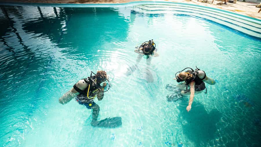 Zanzibar 1 Day Scuba Diving Course for Beginners with Lunch - Who will get the most from this course