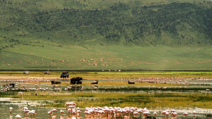 Zanzibar: 3-Day Northern Safari with Flights Included - What the private setup adds