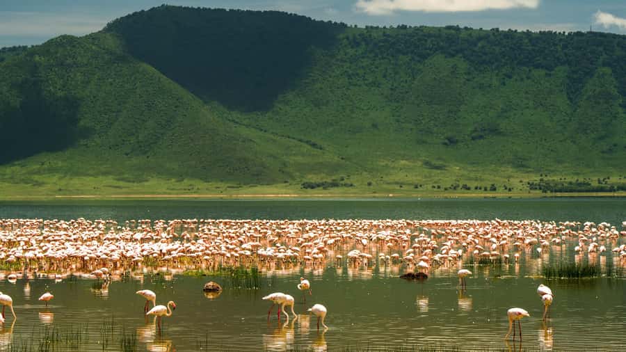 Zanzibar: 3-Day Northern Safari with Flights Included - Is $1,989 per person fair?