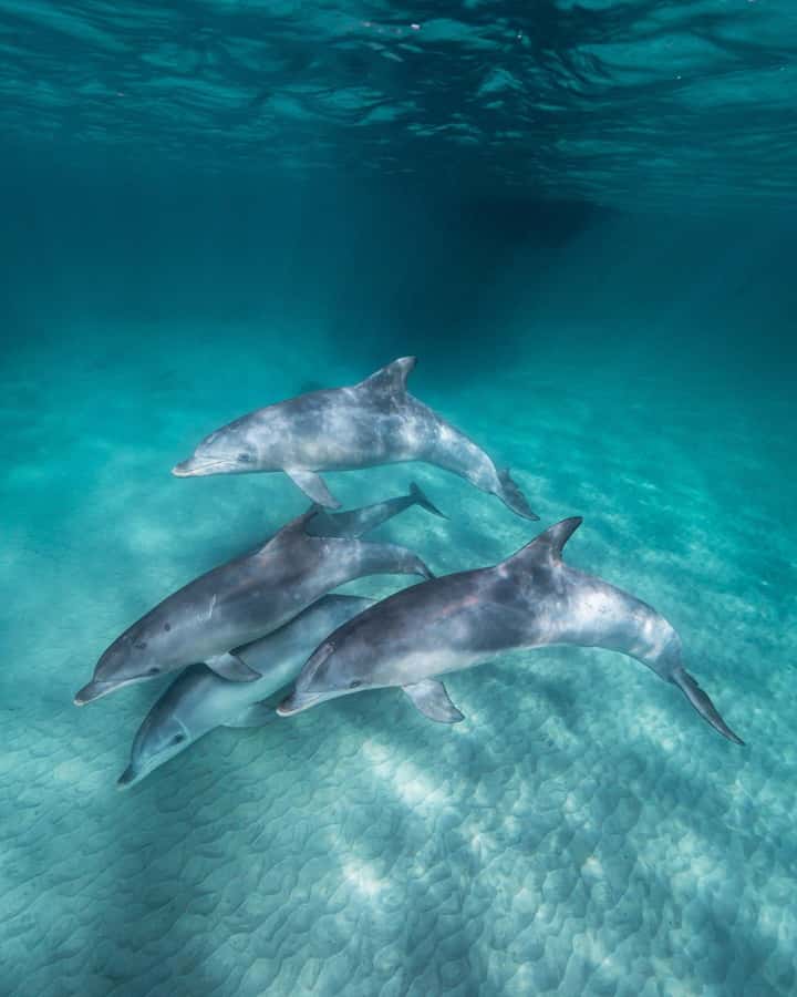 Zanzibar: 3-Day Tour with Snorkeling Adventure with Lunch - Why this three-day Zanzibar plan works