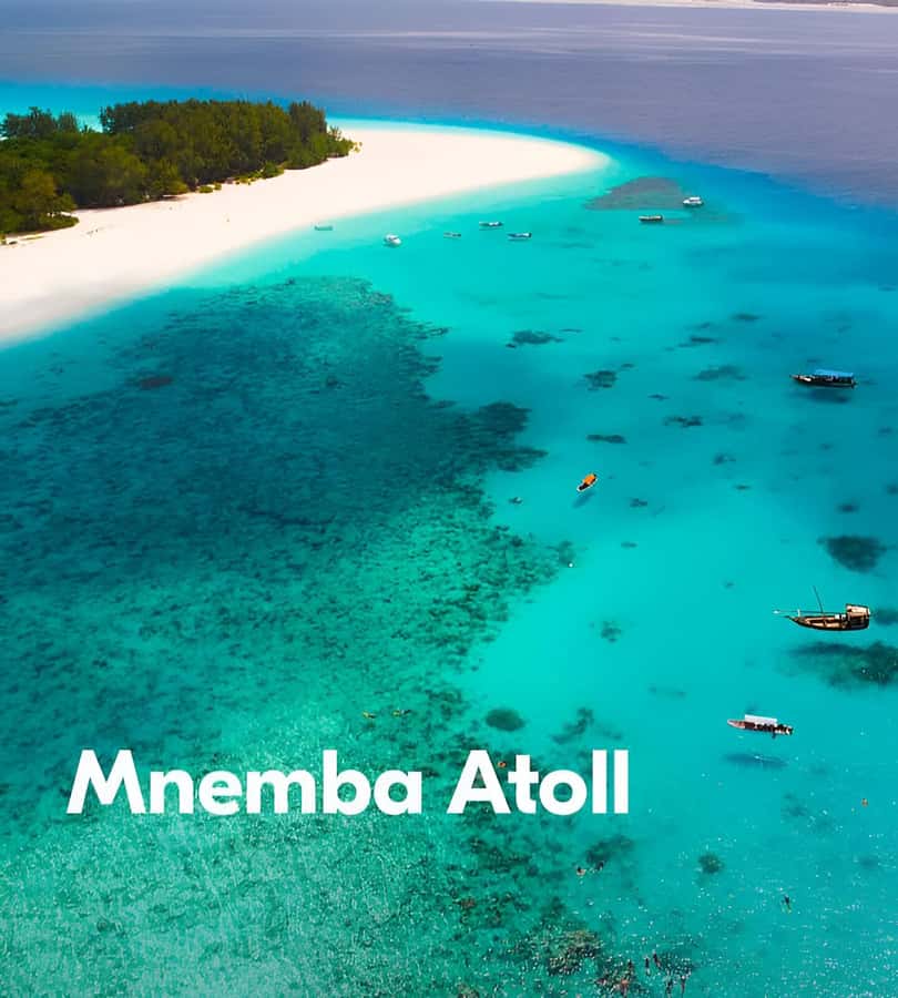 Zanzibar: 3-Day Tour with Snorkeling Adventure with Lunch - Day two: Mnemba Atoll snorkeling and Baraka Aquarium