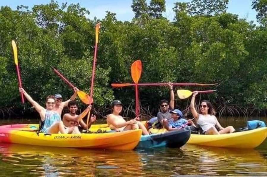Zanzibar: 3-hour Kayak Tour through the Mangrove Forest - Key points to know before you book