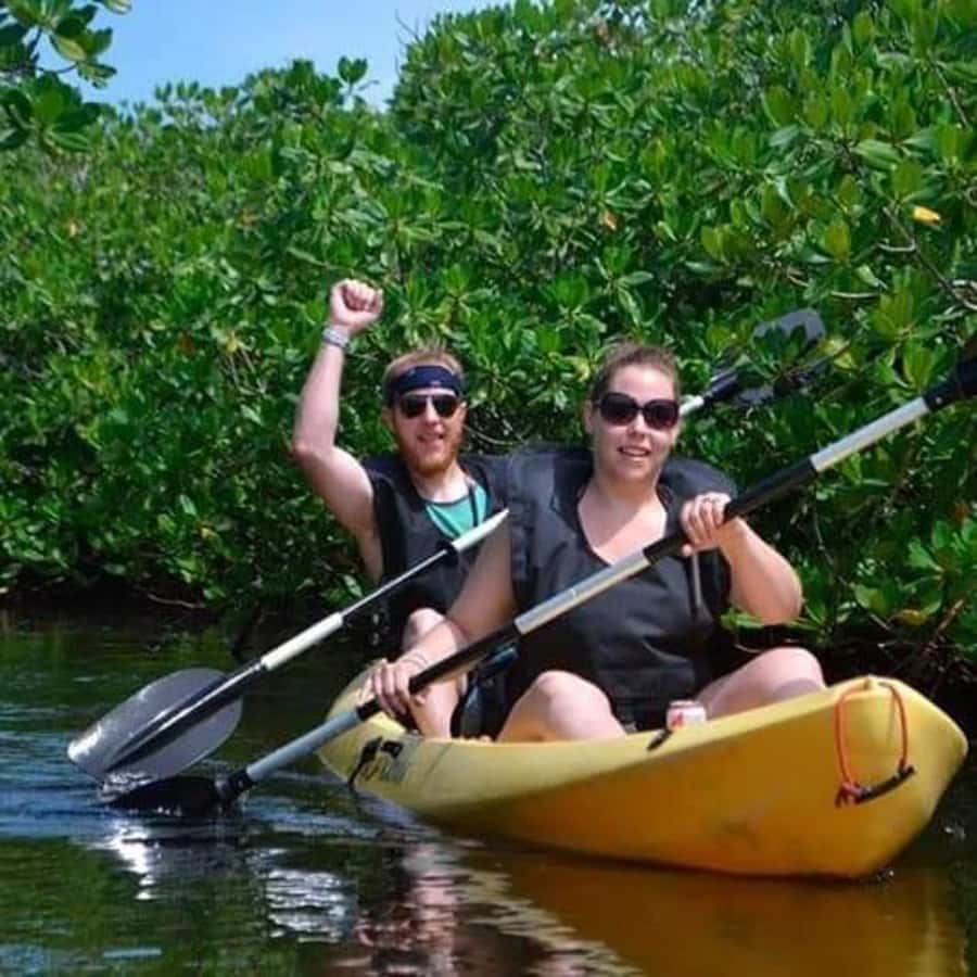 Zanzibar: 3-hour Kayak Tour through the Mangrove Forest - Starting at Unguja Ukuu Kaepwani
