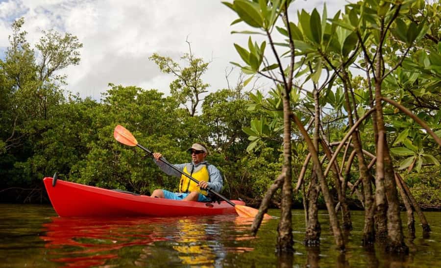 Zanzibar: 3-hour Kayak Tour through the Mangrove Forest - Paddling into Zanzibar’s mangrove forest