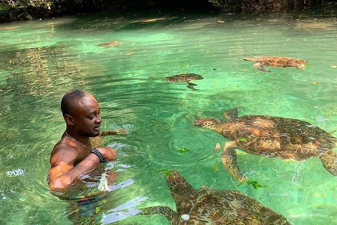 Zanzibar Adventures - What Zanzibar Adventures actually offers