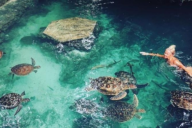 Zanzibar Adventures - Practical details that make the day easier