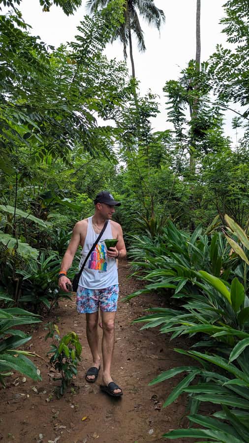 Zanzibar: Africa's Paradise Full Sightseeing Package Tours - Spice farming and the flavors of Unguja