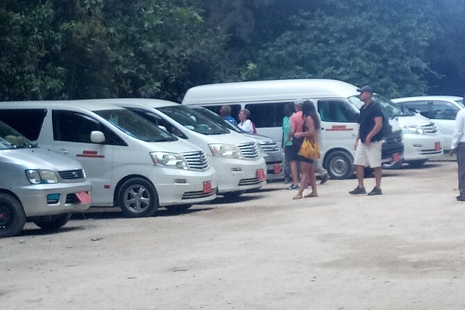 Zanzibar Airport Private Transfer to/from Hotel - Ferry Port, Hotel, and Island Pickups