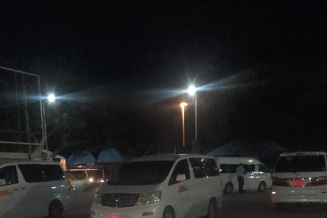 Zanzibar Airport Transfers Pickup and Drop off - Arrival Pickup and Departure Drop-Off