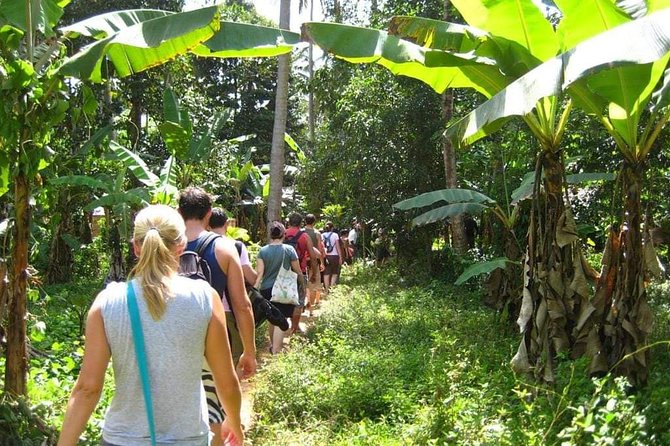 Zanzibar Aromatic Spice Farms Tour - Why Zanzibar’s spice farms matter