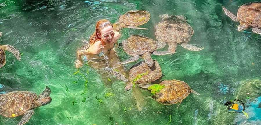 Zanzibar: Baraka Aquarium Feed, Swim & Snorkel with Turtles - Entering the tidal pool with the turtles
