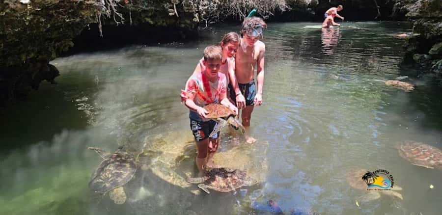 Zanzibar: Baraka Aquarium Feed, Swim & Snorkel with Turtles - What is included, and is $42 a fair price?