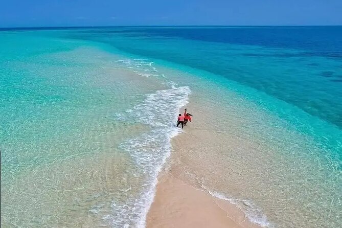 Zanzibar Beach Holiday Private Tour - Day Four: Sea Turtles at Nungwi