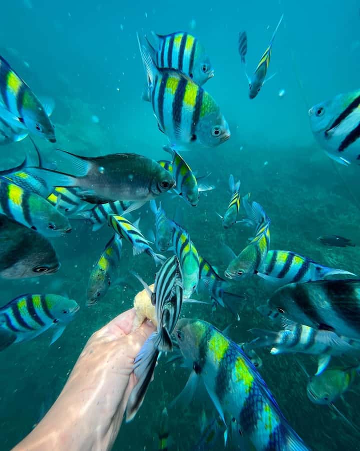 Zanzibar: Blue Lagoon, Rock Restaurant, Cave, and Beach Trip - Who should book this Zanzibar day trip?