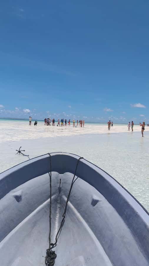 Zanzibar: Blue lagoon & Starfish - What this Zanzibar water trip is really about