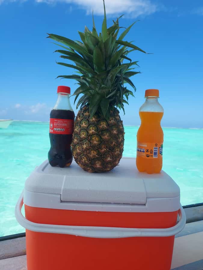 Zanzibar: Blue lagoon & Starfish - Snorkeling with fish around the reef