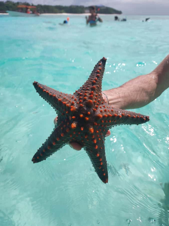 Zanzibar: Blue lagoon & Starfish - The sandbank and exposed rock