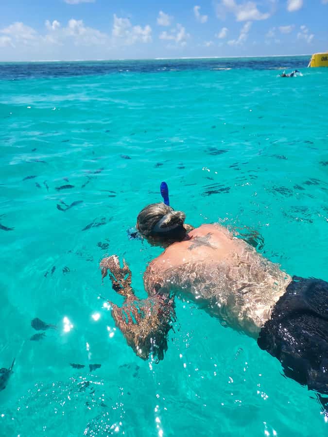 Zanzibar: Blue lagoon & Starfish - Who will enjoy this most?