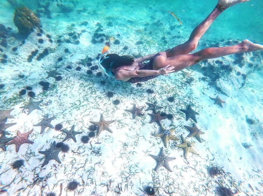 Zanzibar: Blue lagoon, Starfish, Paje Beach and Maalum Cave - Why this southern Zanzibar route works