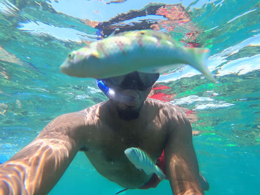 Zanzibar: Blue lagoon, Starfish, Paje Beach and Maalum Cave - Maalum Cave: an unusual final stop