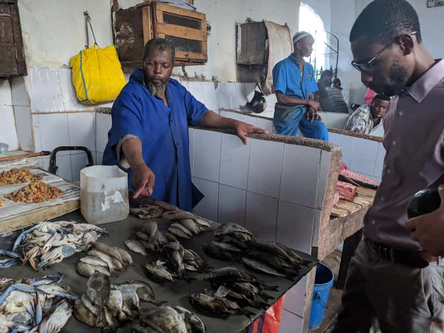 Zanzibar: Changuu Island and Stone Town Tour with Lunch - Snorkeling in clear water