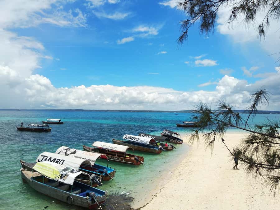 Zanzibar: Changuu Island and Stone Town Tour with Lunch - Crossing to Changuu, also called Prison Island