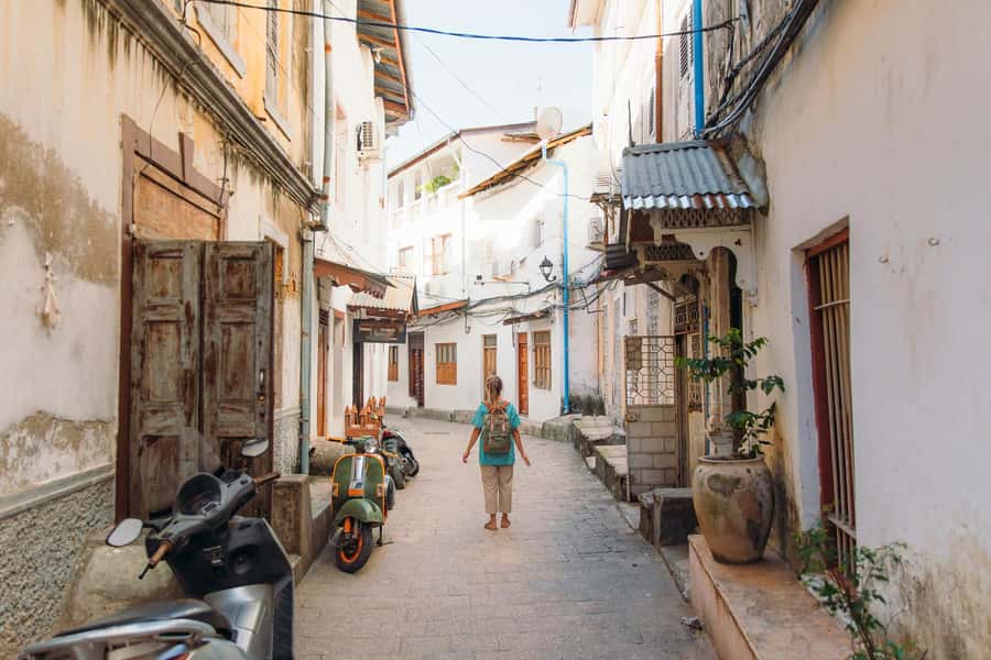 Zanzibar City: Guided Tour of the Stone Town District - Old Stone Town lanes and carved houses