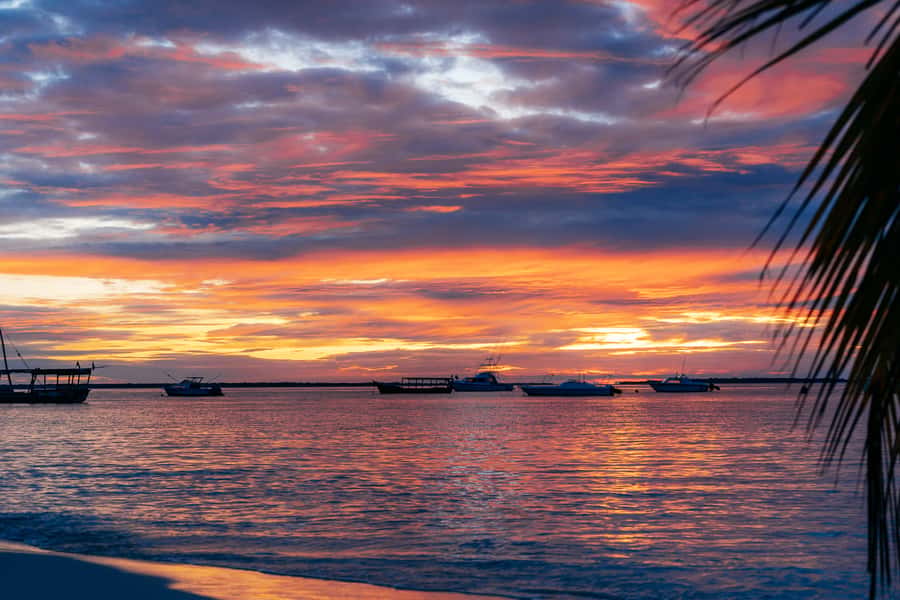 Zanzibar City: Sunset Sailing Tour with Snacks and Drinks - Watching the sun move down over Zanzibar