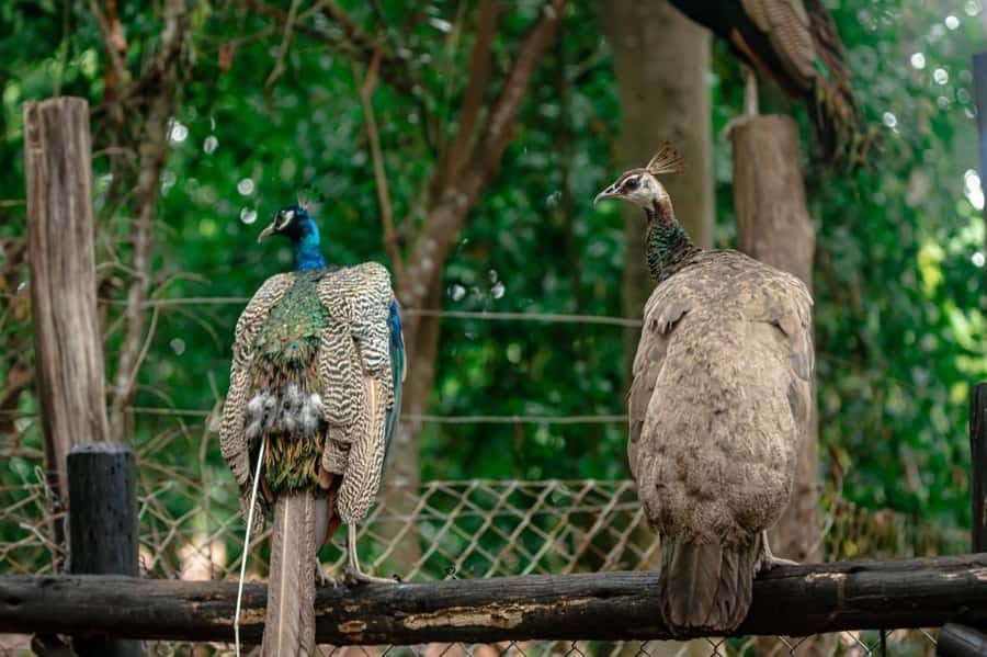 Zanzibar: Combo Zanzi Prison & Nakopenda Island & Stone town - Who will enjoy this tour most