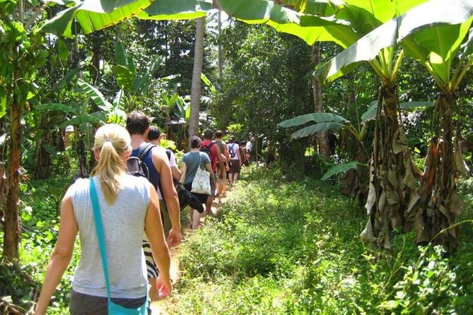 Zanzibar Cooking Class & Spice Tour - Why this Zanzibar food tour is worth your time