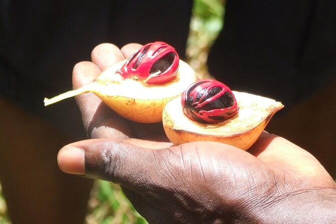 Zanzibar Cooking Class [Swahili food test ] and Spice farm Private tour - The small drawbacks to consider