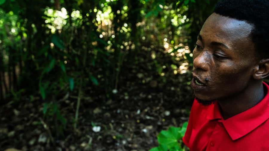 Zanzibar: Day Jozani Forest,Spice Farm,Nature and Savor Tour - Three ways to shape the day