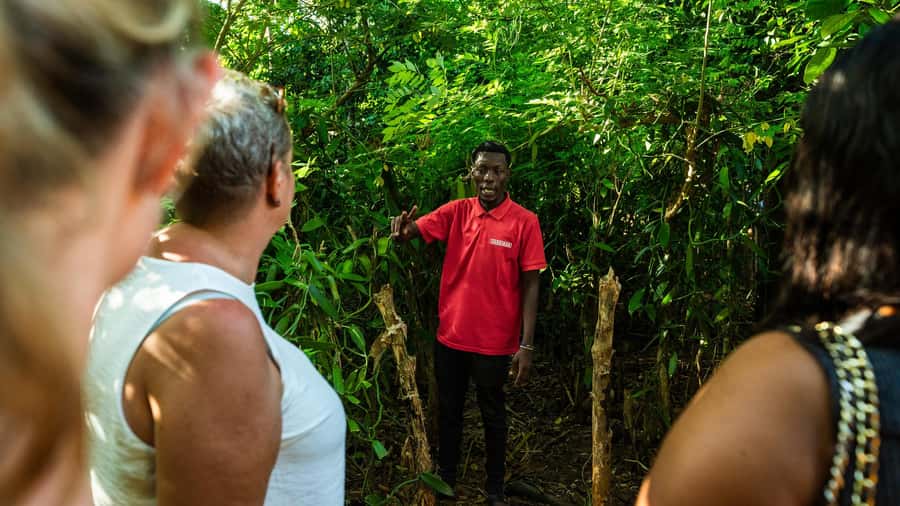 Zanzibar: Day Jozani Forest,Spice Farm,Nature and Savor Tour - Small details that can improve the day