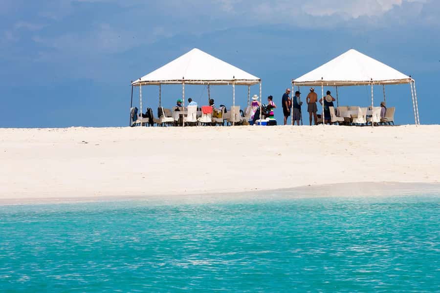 Zanzibar: Day Trip Stone Town, Spice farm,Prison Island - Languages, Group Size, and Guide Quality