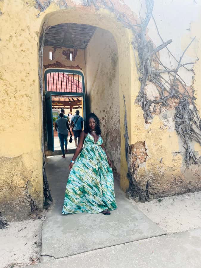 Zanzibar: Day Trip Stone Town, Spice farm,Prison Island - Who Should Book This Experience?