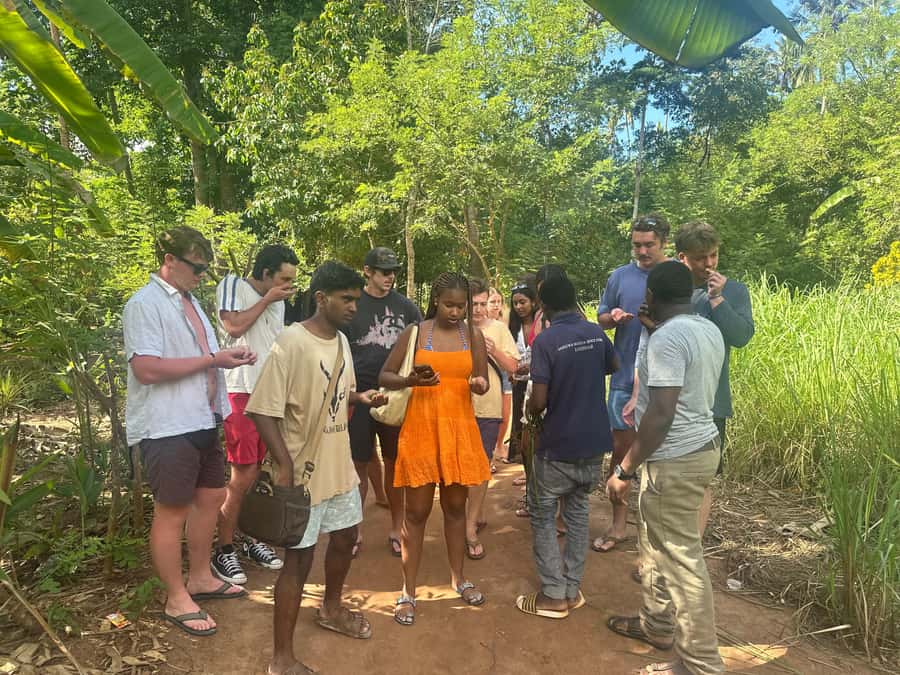 Zanzibar: Day Trip Stone Town, Spice farm,Prison Island - Should You Book the Stone Town, Spice Farm, and Prison Island Tour?