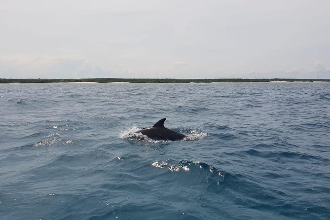 Zanzibar Deep Sea Fishing & Local fishing. - Weather is part of the decision
