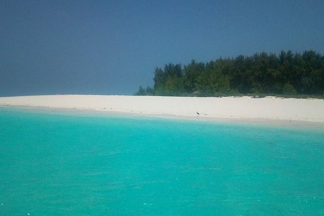 Zanzibar Deep Sea Fishing & Local fishing. - Leaving Nungwi around 6:30 a.m.