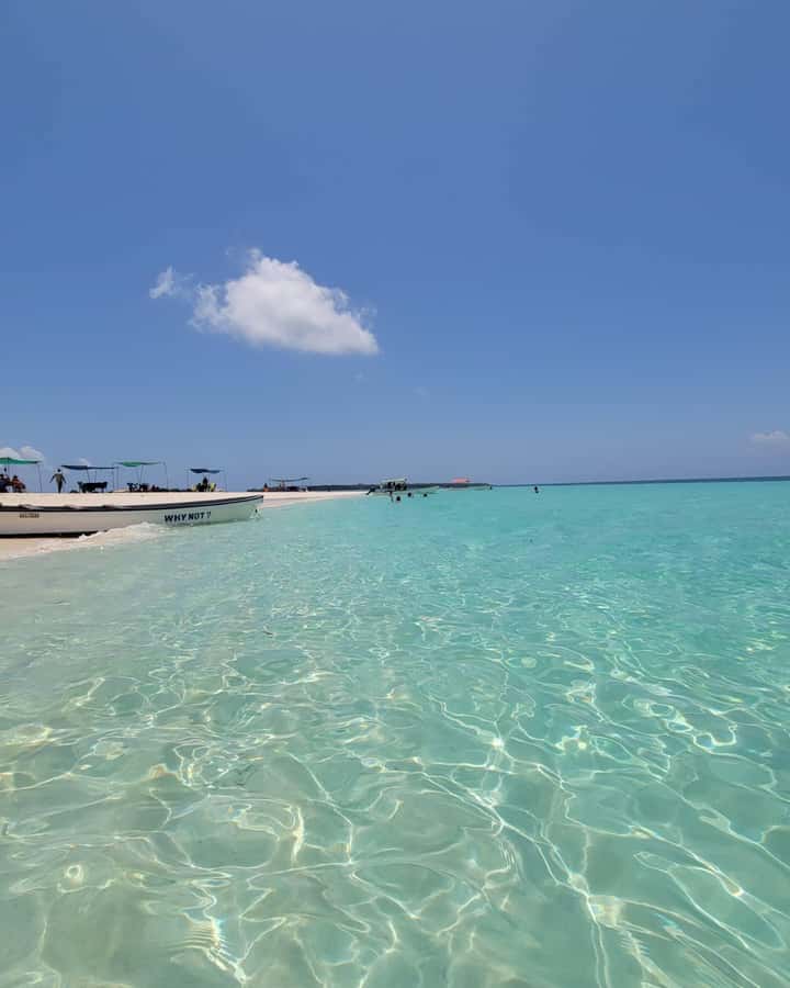 Zanzibar: Discover fullday snorkeling +sandbank BBQ - A seafood BBQ served on the sand