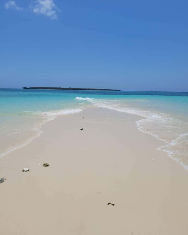 Zanzibar: Discover fullday snorkeling +sandbank BBQ - Is $100 a fair price?