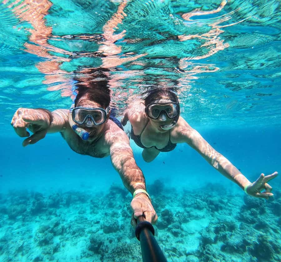 Zanzibar dolphins+ snokling at mnemba with turles swimming - Why Mnemba Atoll Is Worth Your Morning