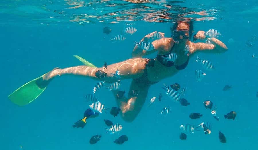 Zanzibar dolphins+ snokling at mnemba with turles swimming - What Is Included, and What Is Not