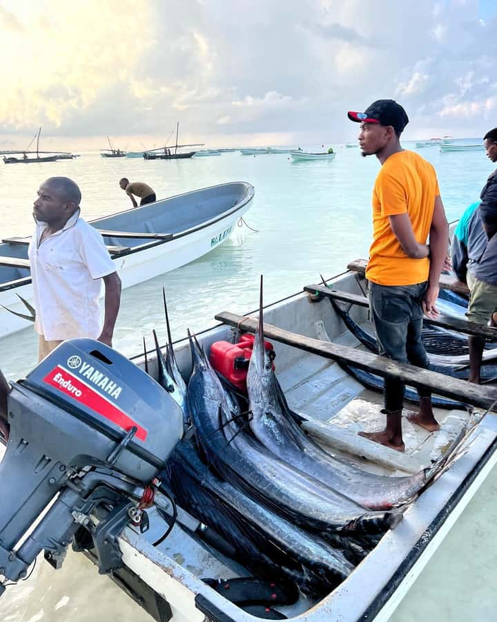 ZANZIBAR FISHING EXPRIENCE - Key points at a glance