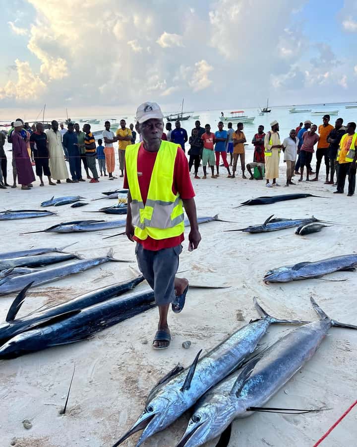ZANZIBAR FISHING EXPRIENCE - Reef fishing adds a gentler second act