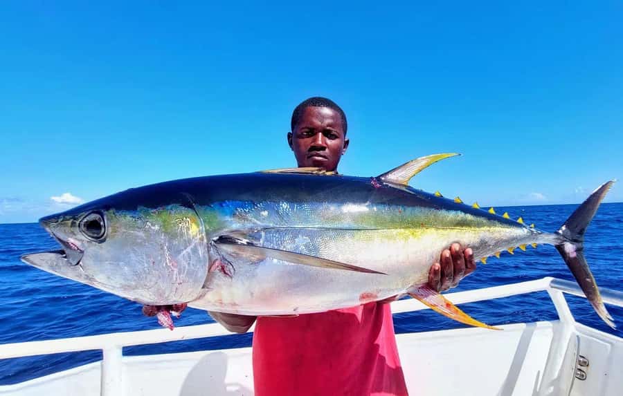 ZANZIBAR FISHING EXPRIENCE - Four hours of fishing, with big-game methods first