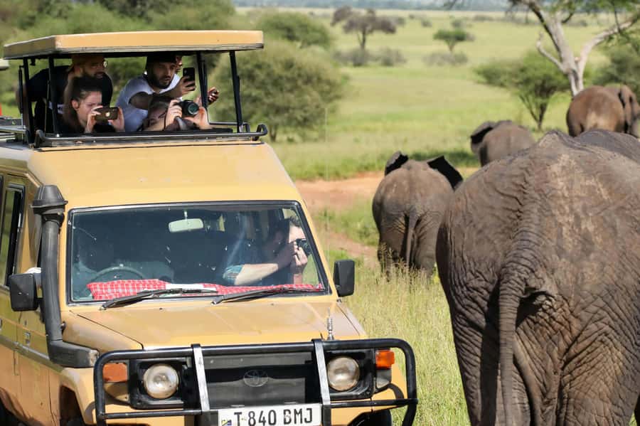 Zanzibar: Fly to Nyerere National Park – 2-Day Safari - Who should book this safari?