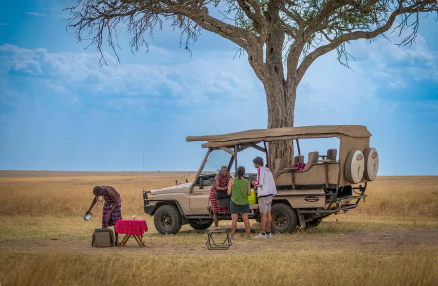 Zanzibar: Fly to Nyerere National Park – 2-Day Safari - Should you book the Zanzibar to Nyerere safari?